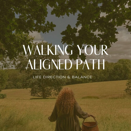 Walking Your Aligned Path Workbook 